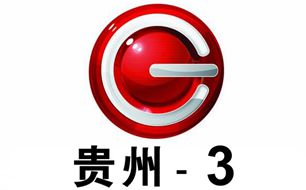 贵州广播电视台第3频道影视文艺频道
