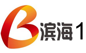 天津濱海電視臺一套新聞綜合頻道